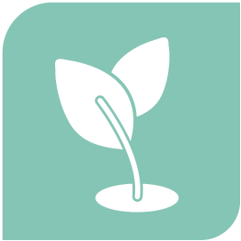 growth and development icon